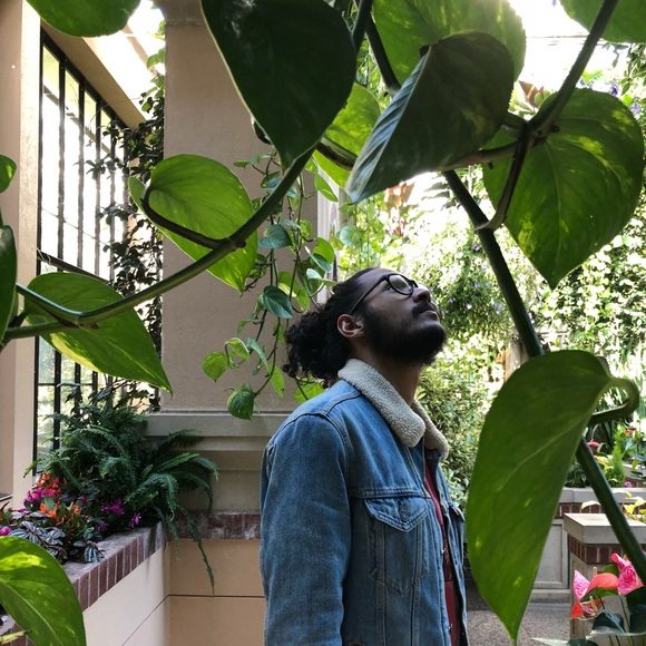 Meet your Posher, Emil - Picture 1 of 1